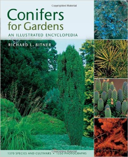 Conifers for Gardens An Illustrated Encyclopedia