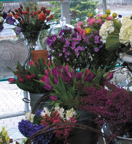 Hot Colors For Spring