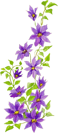 Behnke’s Basic Perennials