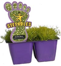 stepables