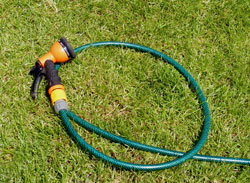 Summer Watering Tips