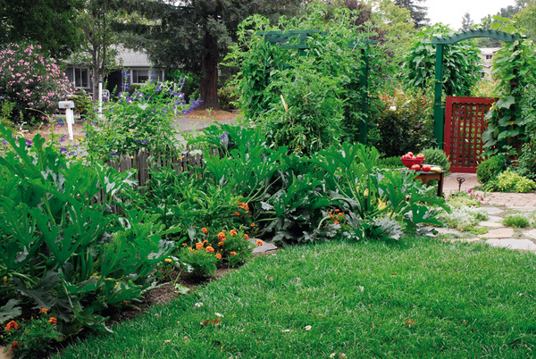 Above, a mixed front-yard garden that fits in anywhere.