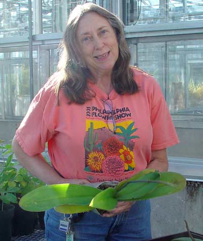 Carol Allen, Orchid Specialist
