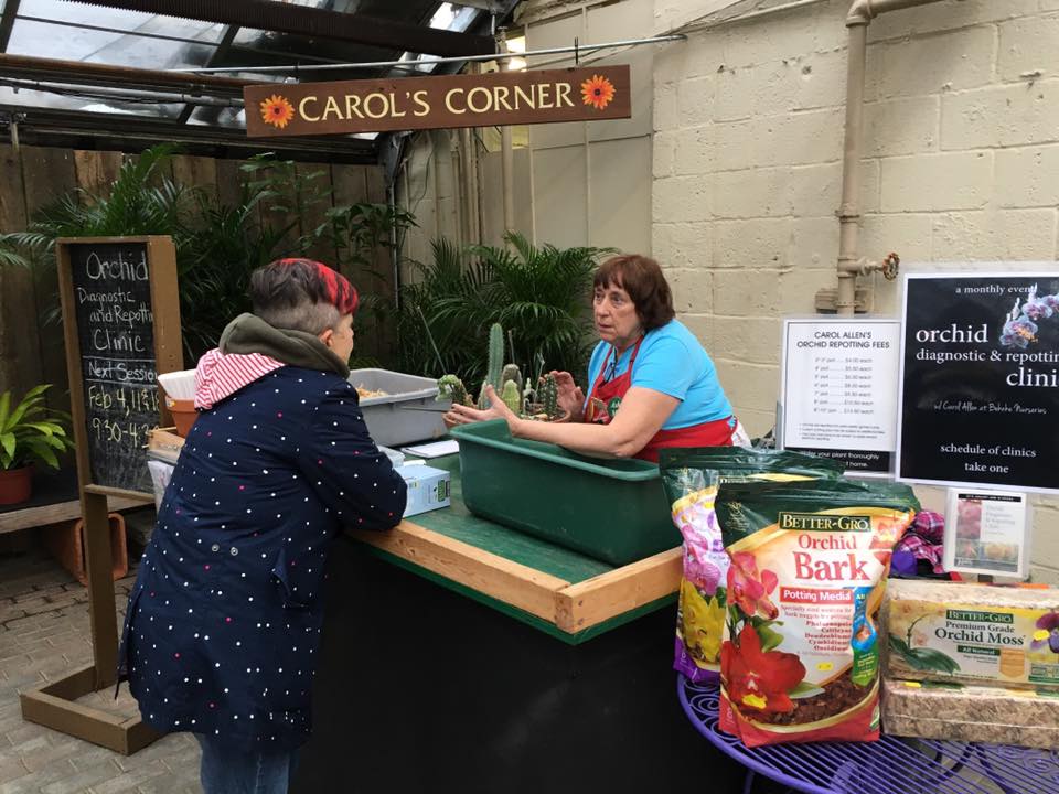 carols corner