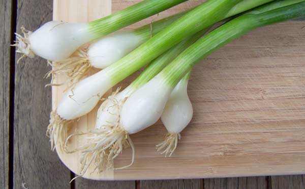 spring-onions