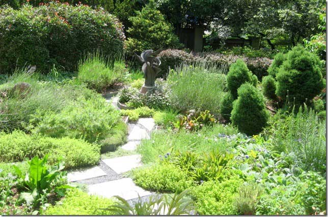 water conservation in the landscape