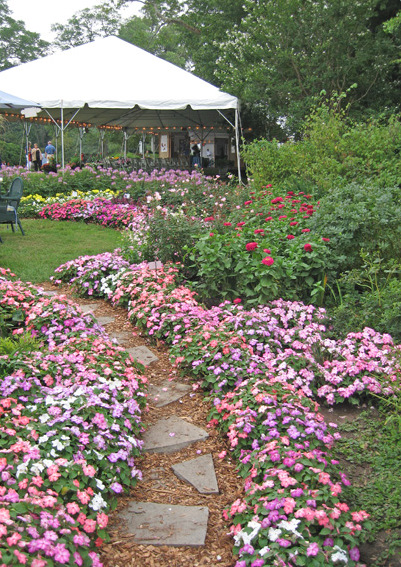 annuals display