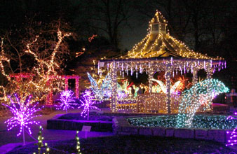 Awesome Garden Of Lights