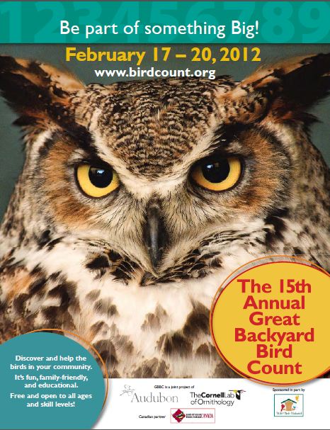 The Great Backyard Bird Count is this Weekend!