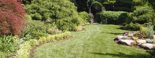 How To Create Natural Edging Beyond, Natural Edge Landscaping