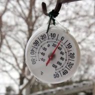 Frost Freeze Warning – Tips to protect your plants