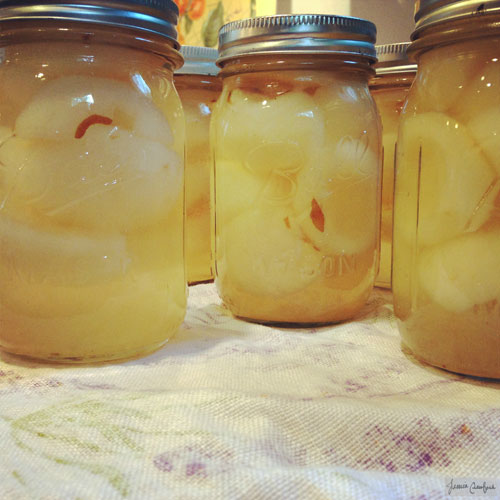 Canned_Asian_Pears
