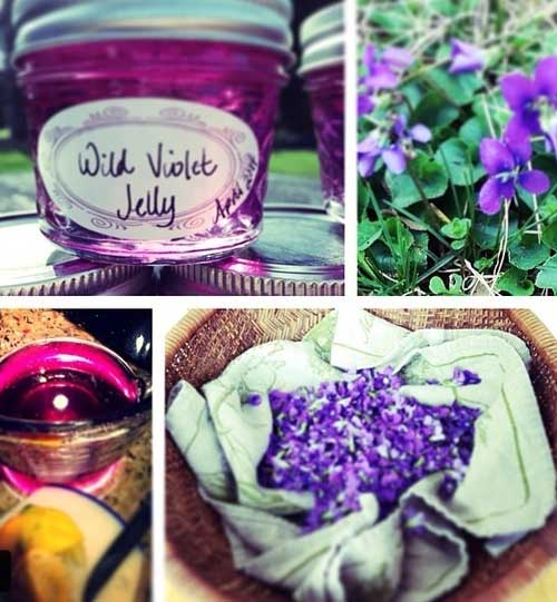 Wild-Violet-Jelly