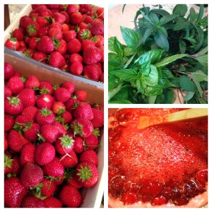 Jessica’s Garden: Strawberries: Get Them Before the Good Ones Are Gone
