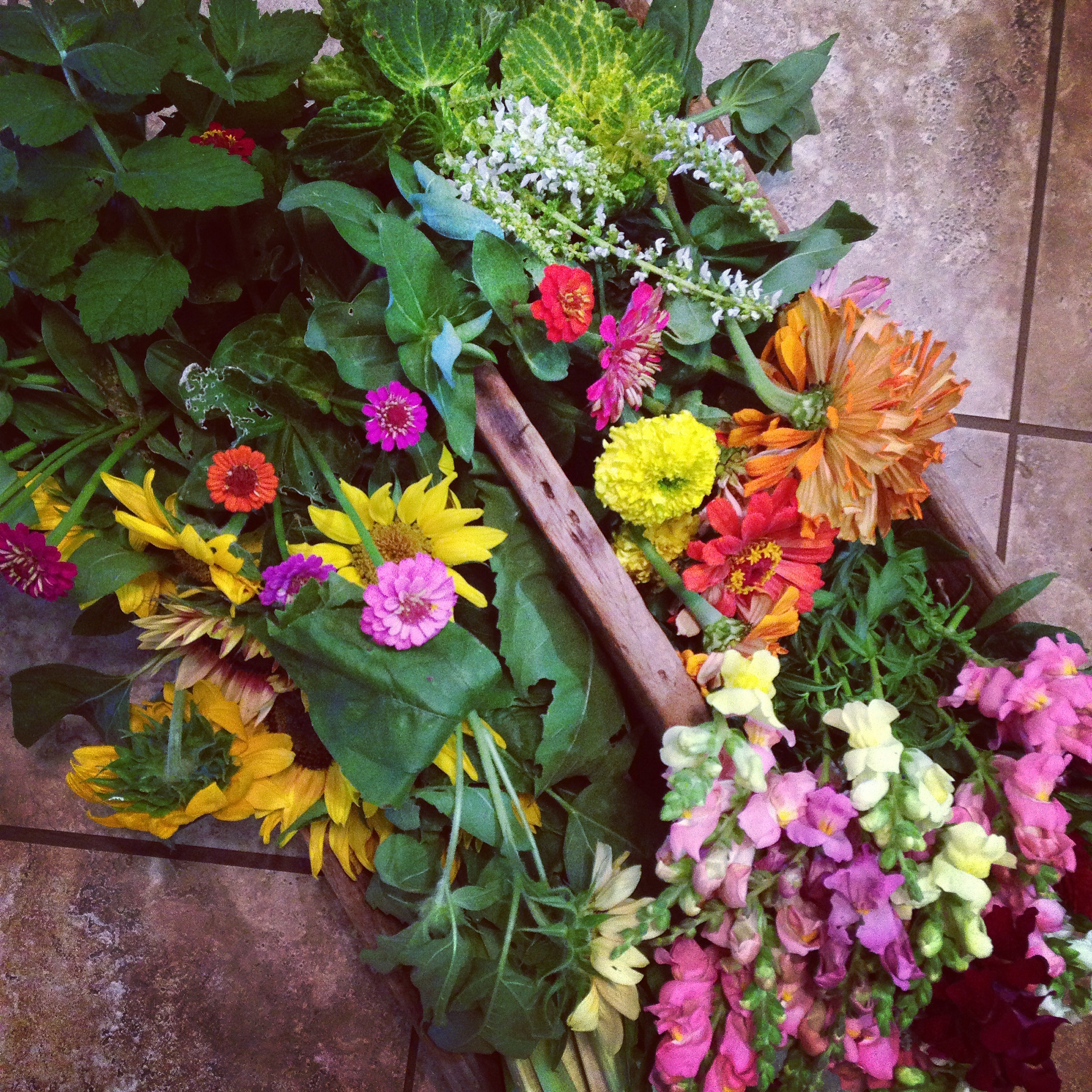 Jessica’s Garden: Among the Wildflowers
