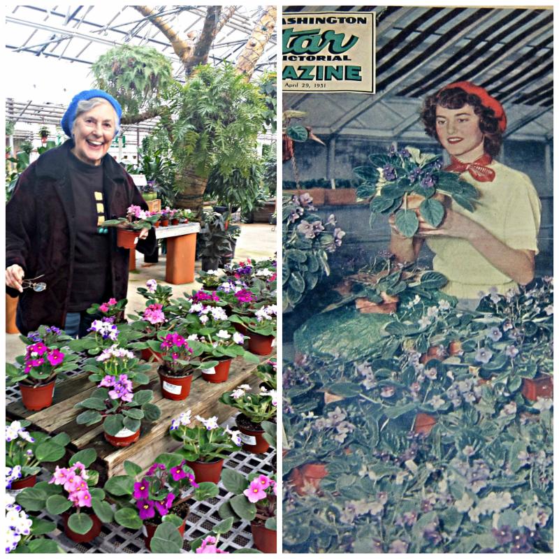 Sonja and Her Violets