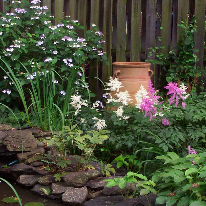 So You’re Downsizing, But What About Your Garden?