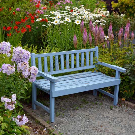 Tips for Planting in Summer