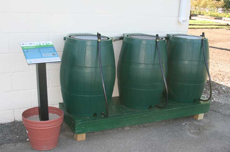 rain-barrels