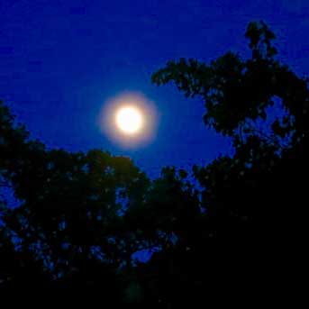 A Moon Dance: November 14th’s Supermoon