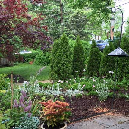 5 Great Gardening Blogs