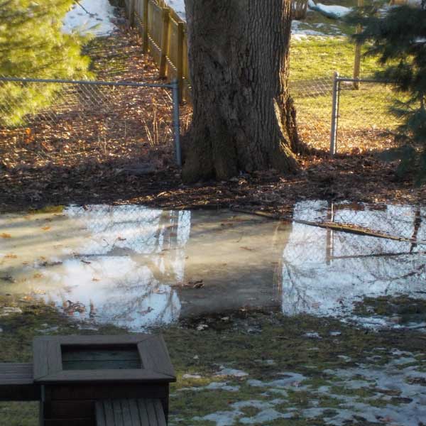 Understanding Soil Drainage