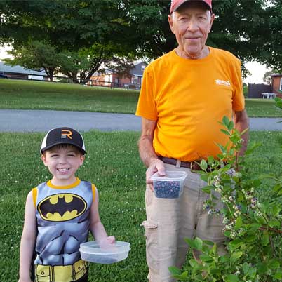 Blueberry Pickin’ Time