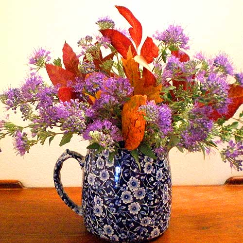How to Create Arrangements Using a Complementary Color Scheme