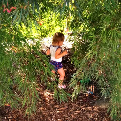 A Secret Garden