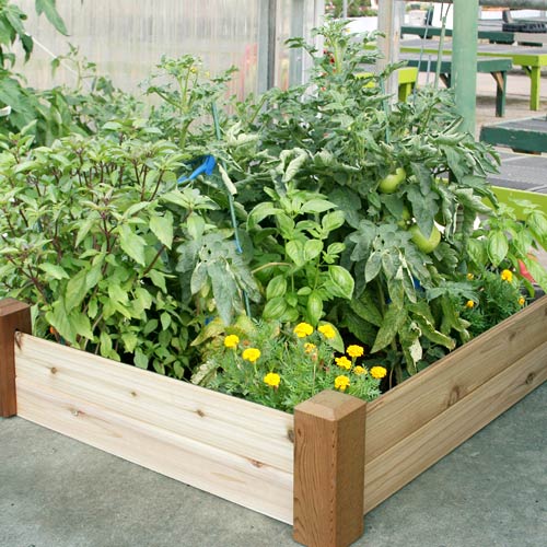 Small Space Vegetable Gardening Tips