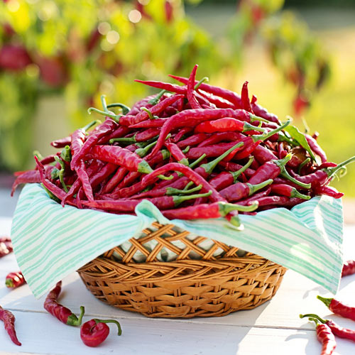 How to Grow Peppers