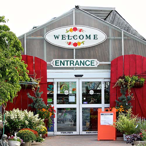 Help Us Help You: 6 Things to Consider Before Shopping for Plants