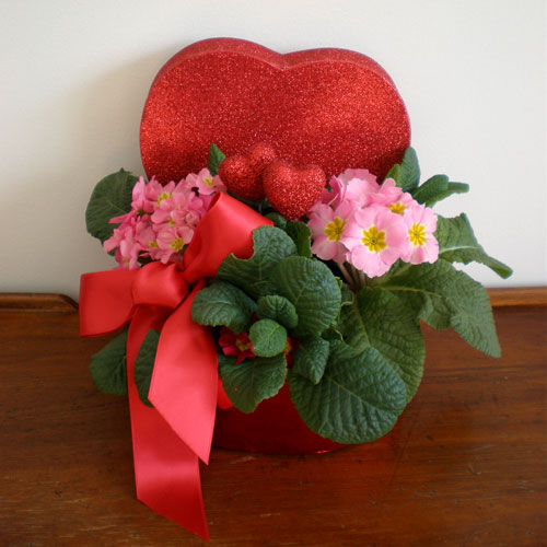 Create a Lovely Valentine Arrangement with Plants