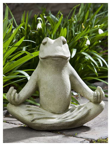 zen frog