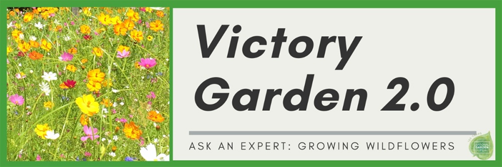 victory gardening 2.0