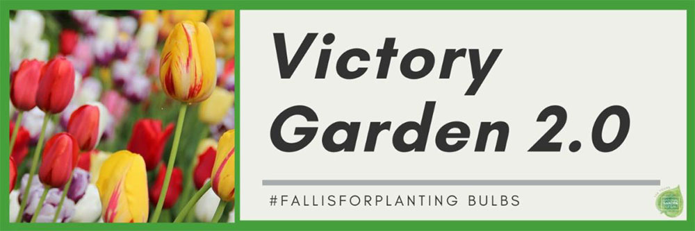 victory 2.0 fall is for planting bulbs