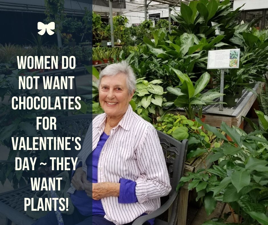 Women Do Not Want Chocolate