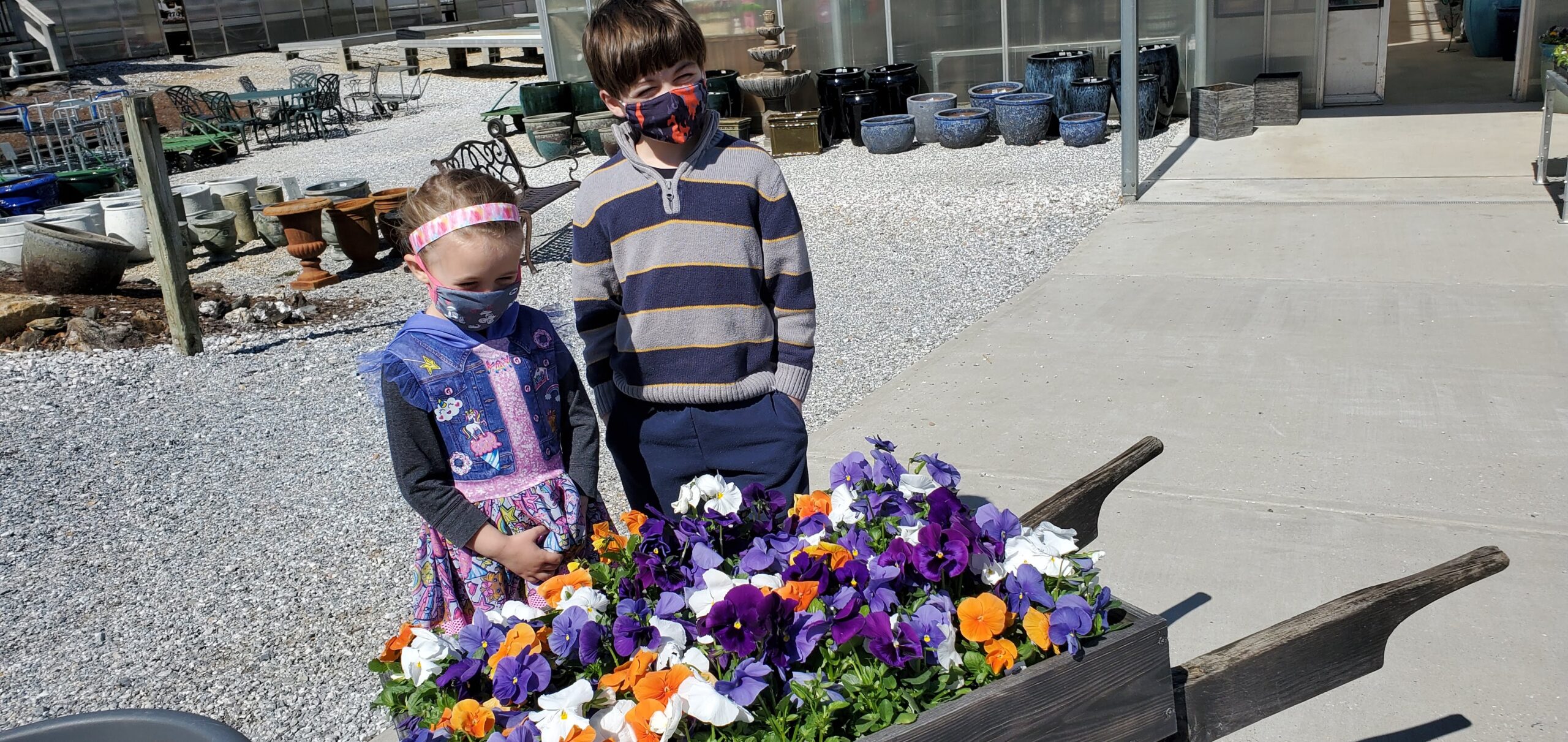Aaron and Zoe looking at pansies at Snell's Greenhouses