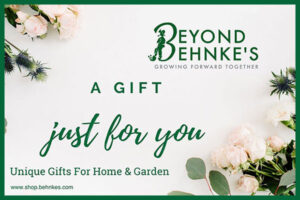 Gift Cards green border