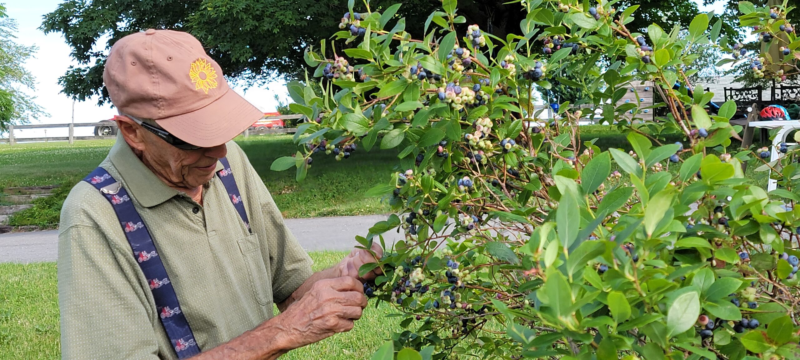 Marshall Fleming Picking Blueberries