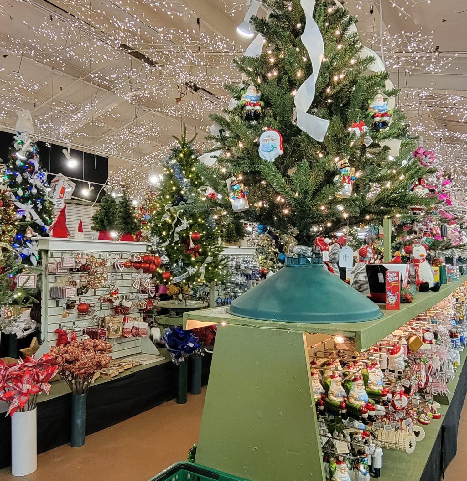 Christmas At Valley View Farms Beyond Behnkes