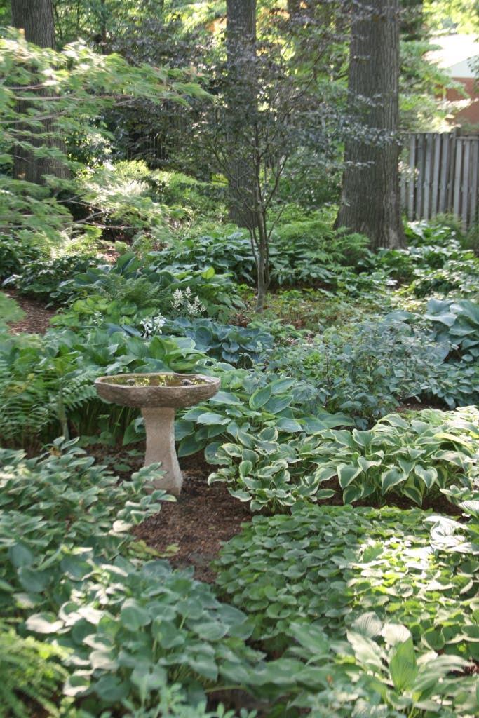 Larry Hurley's Maryland Shade Garden