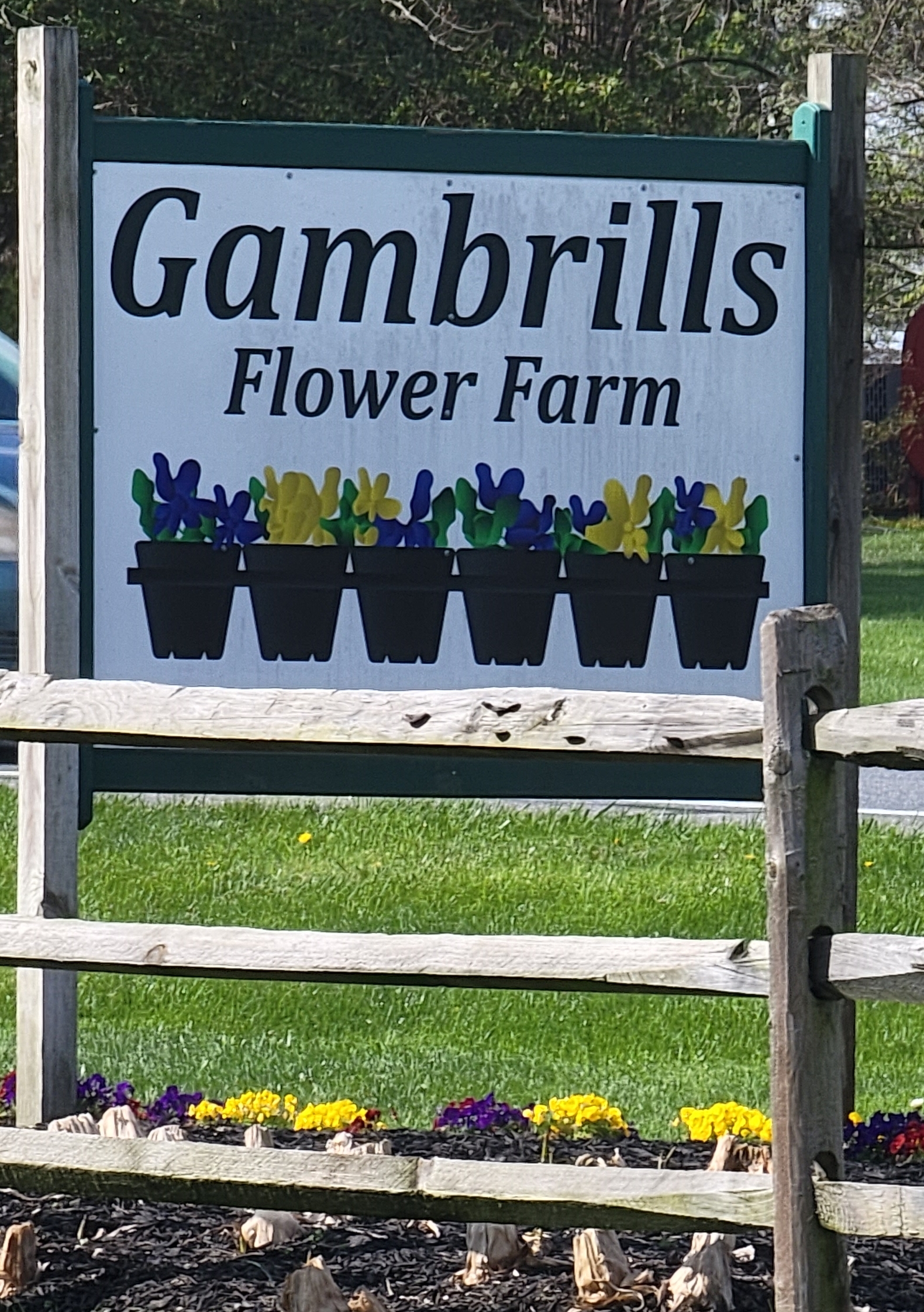 Gambrills Flower Farm