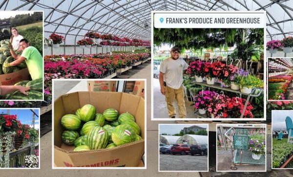 Frank's Produce & Greenhouses
