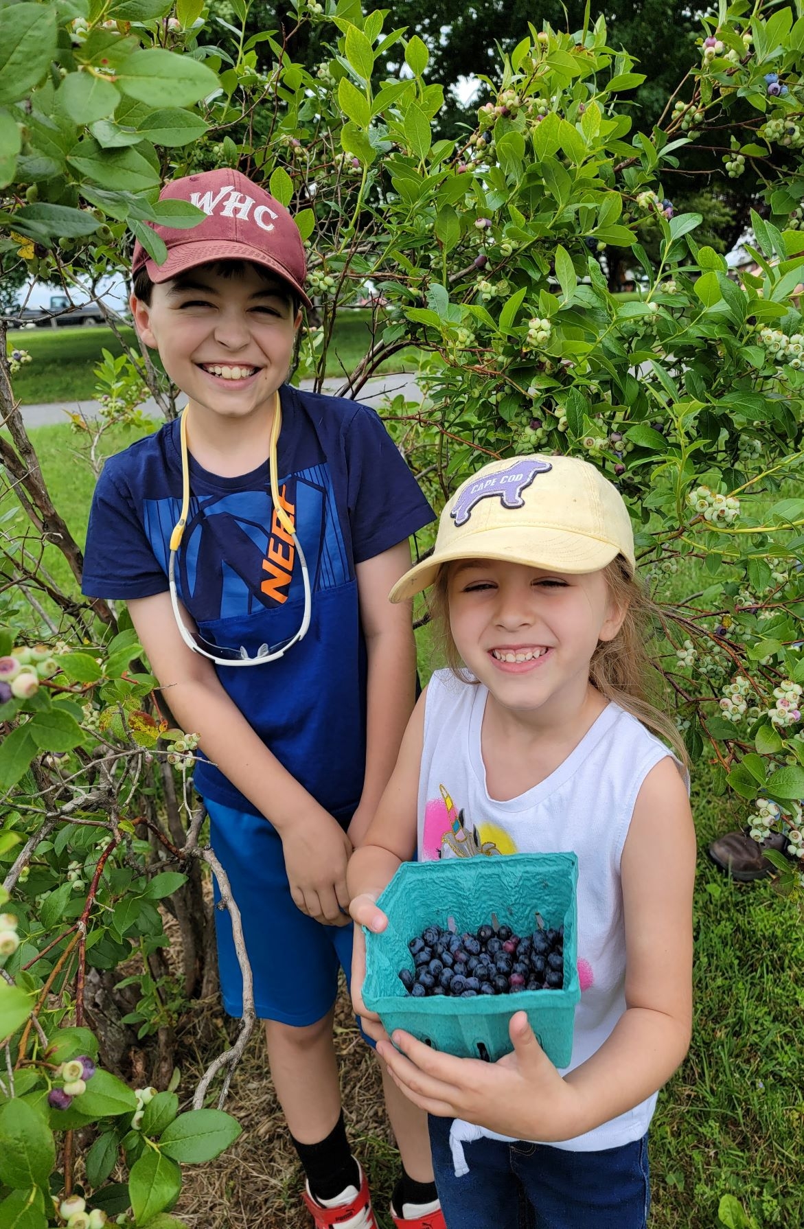 Aaron and Zoe picking blueberries