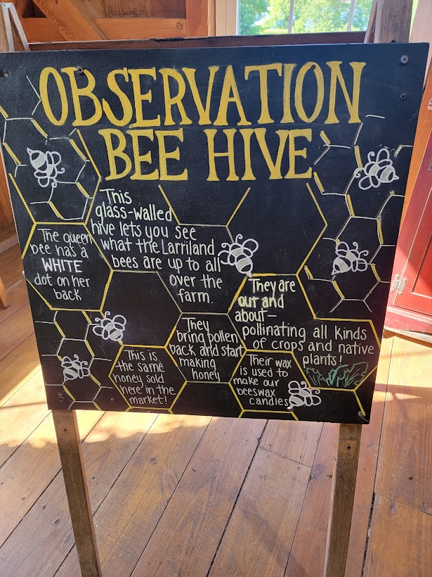 Larriland Farm Observation Bee Hive