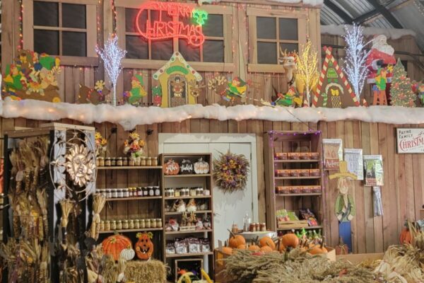 Payne's Christmas Tree Holiday Market