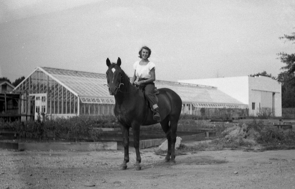 Sonja Behnke on her horse Rusty in Beltsville Maryland in the late 40's