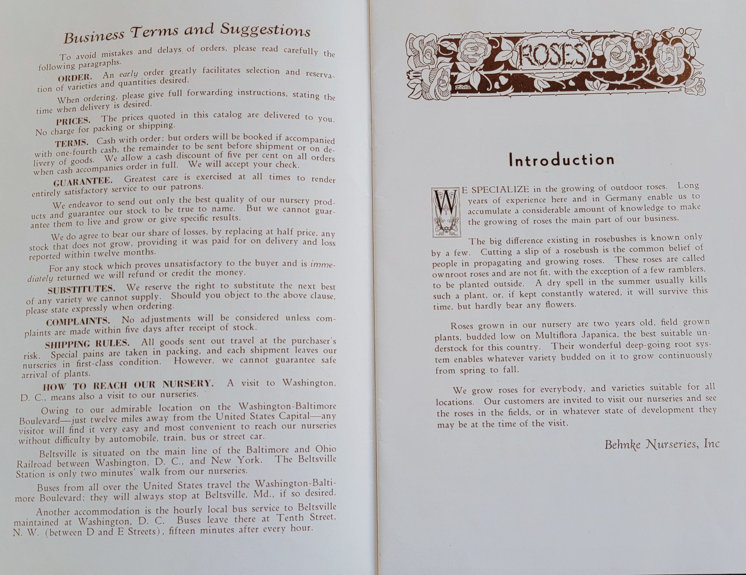 1932 Behnke Nurseries Roses Catalog Introduction