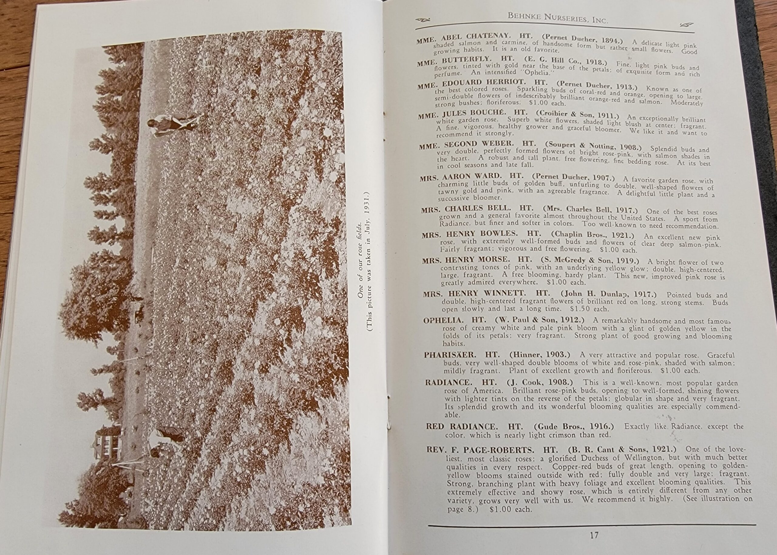 1932 Behnke Nurseries Roses Catalog